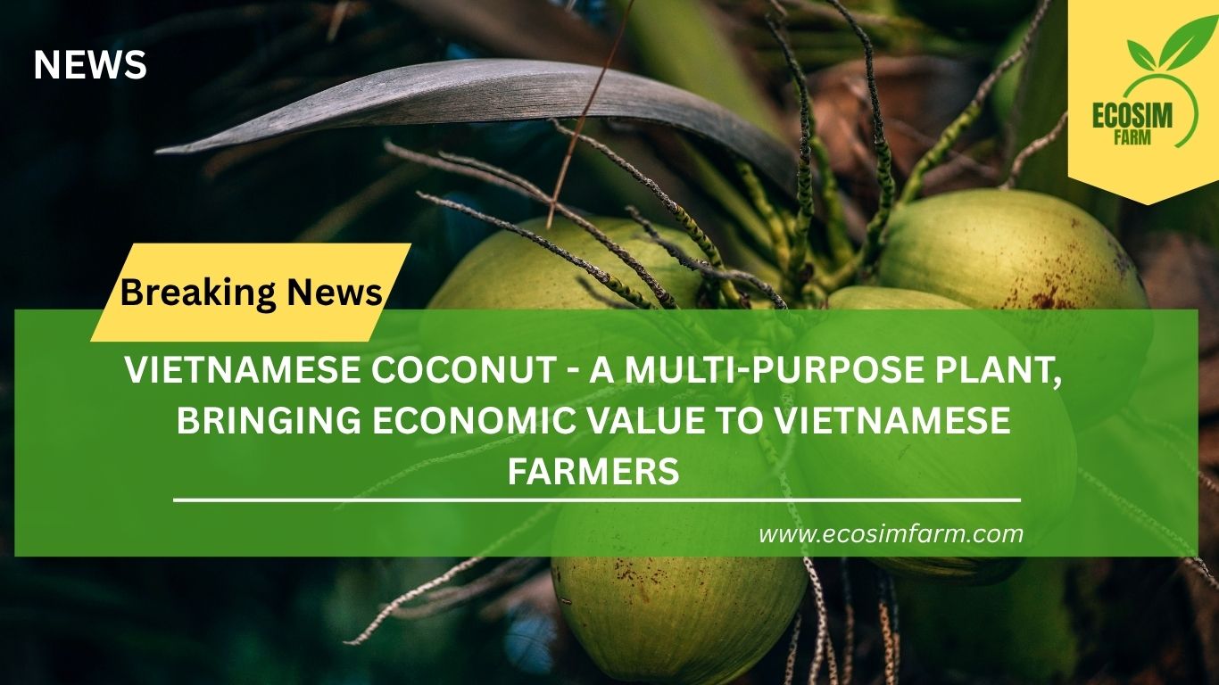 Ben Tre – The Coconut Capital of Vietnam